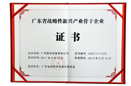 Guangdong province strategic emerging industry backbone enterprise certificate